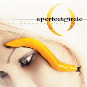 A PERFECT CIRCLE - THIRTEENTH STEP