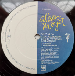Alison Moyet – албум Alf - Img 3