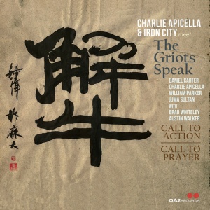 APICELLA, CHARLIE & IR... - CALL TO ACTION / CALL TO PRAYER