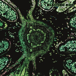 BLASTING ROD - OF WILD HAZEL