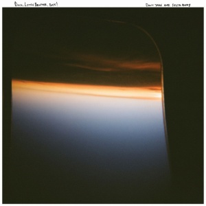 Duck. Little Brother, Duck! - DON'T TAKE OUR FILTH AWAY (1 x LP)