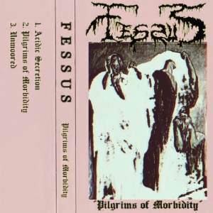 Fessus - PILGRIMS OF MORBIDITY (1 x CD)