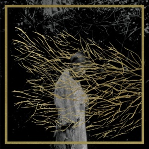 FOREST SWORDS - ENGRAVINGS