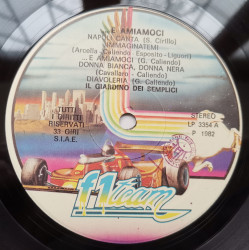 Il Giardino Dei Semplici – албум ...E Amiamoci - Img 3