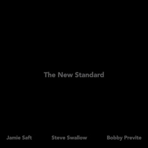 Jamie Saft,Steve Swallow,Bobby Previte - THE NEW STANDARD (2 x LP)