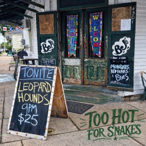 Leopard Hounds - TOO HOT FOR SNAKES (1 x CD)