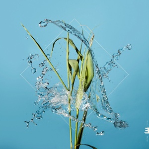 MCCREADIE, FERGUS - STREAM