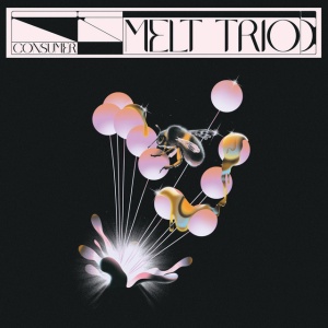 MELT TRIO - CONSUMER