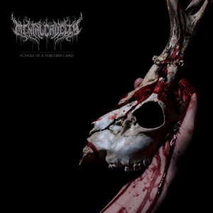 Mental Cruelty - Echoes of a Forlorn Land (1 x CD)