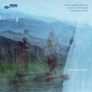 MERCEREAU, NATE & JOSH... - OPENNESS TRIO