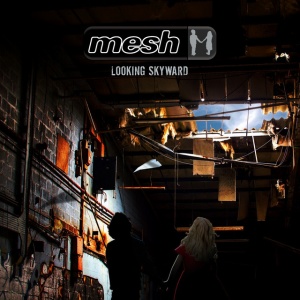 Mesh - LOOKING SKYWARD (2 x LP)