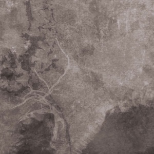 MULTICAST DYNAMICS - SCANDINAVIA