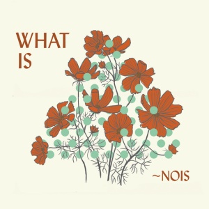Nois - WHAT IS -NOIS? (1 x CD)