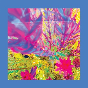 REDS, PINKS AND PURPLES - THE PAST IS A GARDEN I NEVER FED