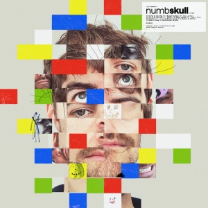 Ryan Hemsworth - NUMBSKULL (1 x LP)