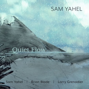 Sam Yahel - QUIET FLOW (1 x CD)