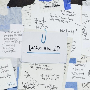 She's - WHO AM I? (1 x CD)