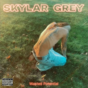 Skylar Grey - WASTED POTENTIAL (1 x CD)