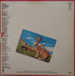 Steve Forbert – албум Jackrabbit Slim - Img 2