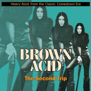 Various Artists - BROWN ACID: THE 22 TRIP (1 x CD)