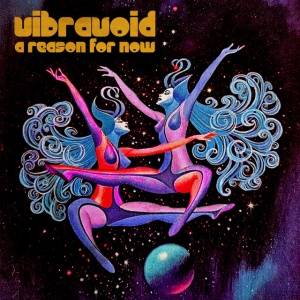 Vibravoid - A REASON FOR NOW (1 x CD)