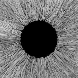 VOLA - WITNESS