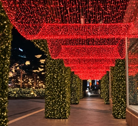 Instalație LED pe fir – 480 LED-uri – 50 m – cablu verde – roșie cu flash alb – OLD-336 R - Img 3