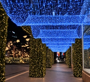 Instalație LED pe fir – 700 LED-uri – 100 m – cablu verde – albastră cu flash alb – OLD-342 B - Img 3