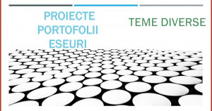 TEME DIGITALE