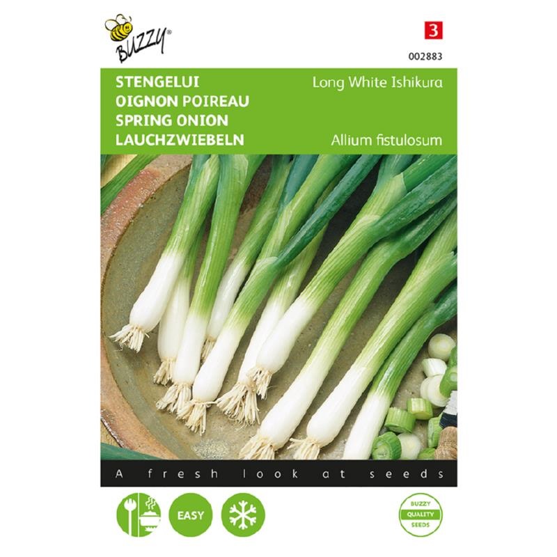 Seminte - Magazin-agro.ro - Pagina 16