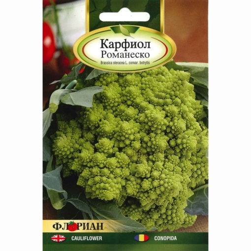 Seminte de conopida Romanesco, 1,5g, Florian