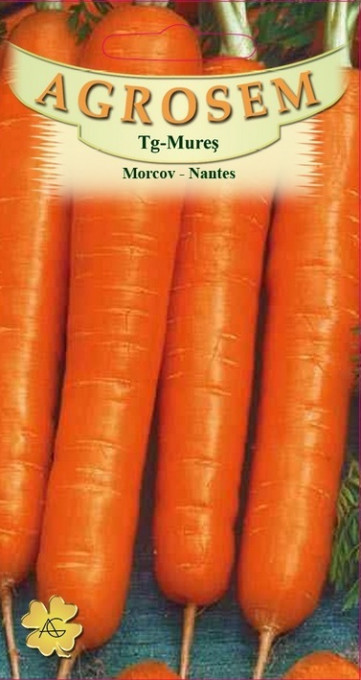 Seminte de morcov Nantes 5 grame