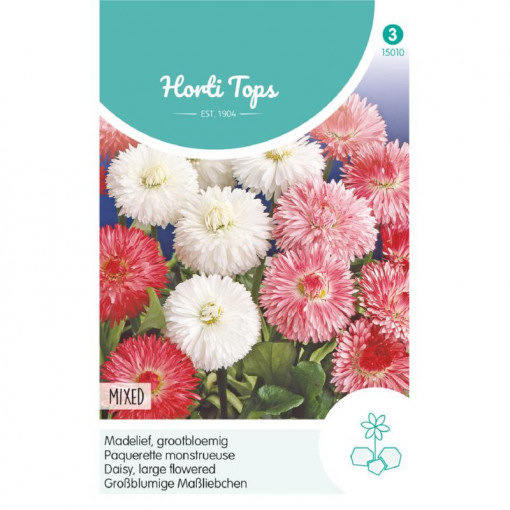 Seminte de Bellis perennis dublu mix, 0,25g, Horti Tops, Olanda