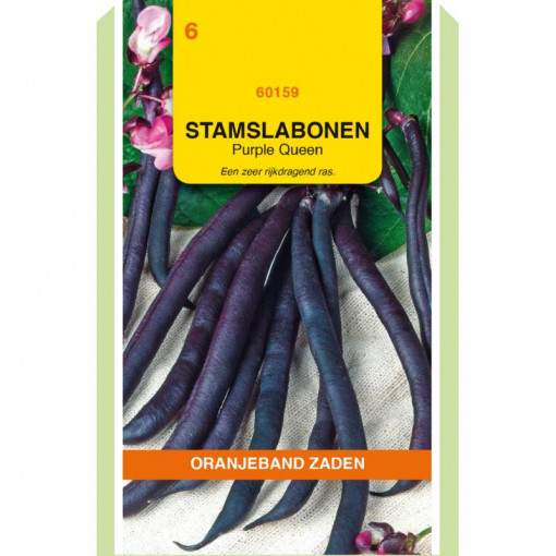 Seminte de fasole rosie Purple Queen, 100g, Oranjeband, Olanda