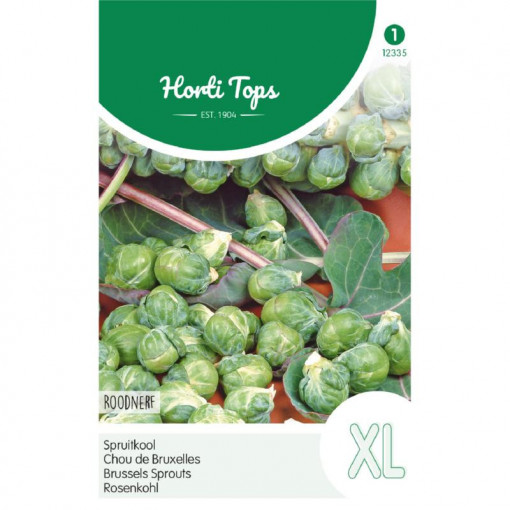 Seminte de Varza de Bruxelles , 2 g, Horti Tops, Olanda