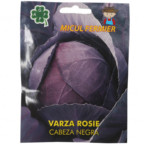 Seminte de varza rosie Cabeza Negra