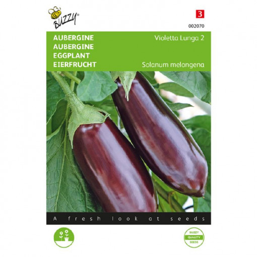 Seminte de vinete Violetta Lunga, 2 g, Buzzy, Olanda