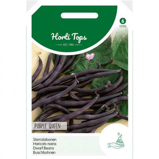 Seminte de fasole oloaga Purple Queen, 100g, Horti Tops, Olanda