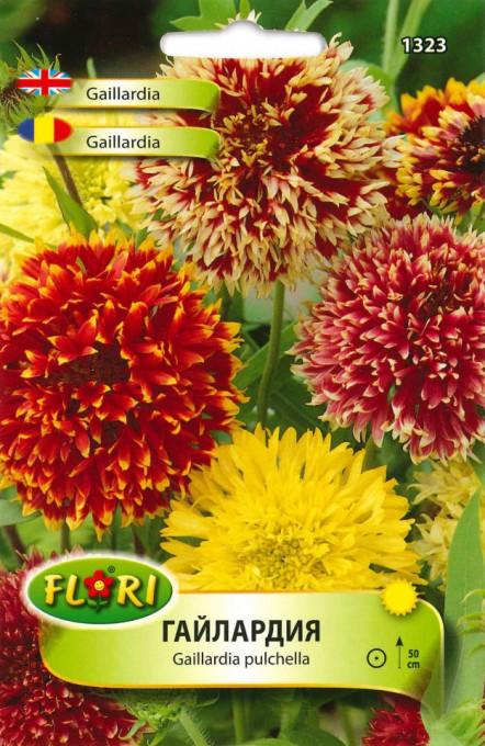 Seminte de Fluturas/ Gaillardia pulchella, 150 seminte