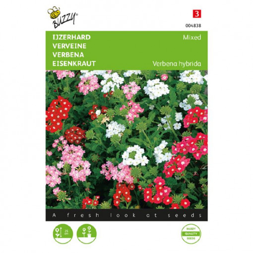 Seminte de verbena pitica mix, 0,4g, Buzzy, Olanda