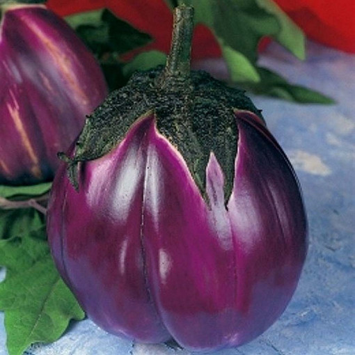 Seminte vinete Violetta di Firenze, soi mediu-timpuriu, fructe rotunde, carnoase, putine seminte, Agrosem, 1gr