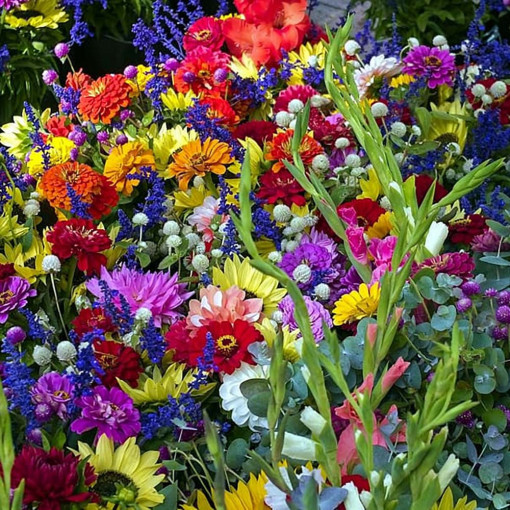 Amestec de seminte de flori anuale de vara, diferite culori, Agrosem, 0.75 gr