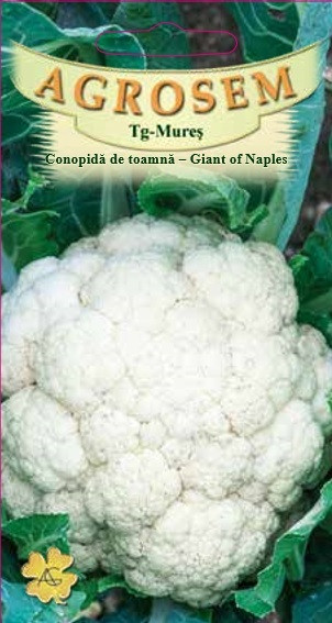 Seminte de conopida toamna Giant of Naples 1 gram
