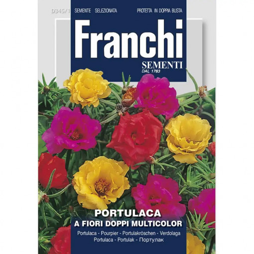 Seminte de Floare De Piatra cu flori duble multicolor, 5g, Franchi