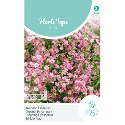 Seminte de Gypsophila Rose, 0,25g, Horti Tops, Olanda