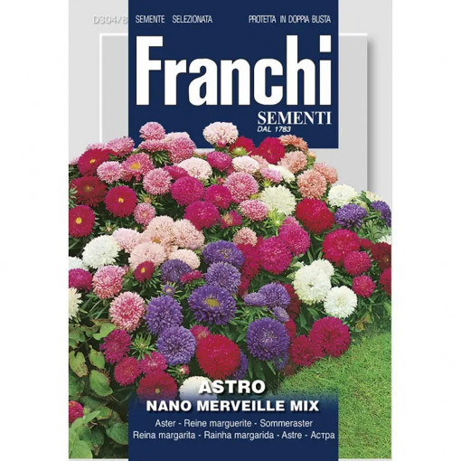 Seminte de Ochiul Boului pitic minune mix, 2g, Franchi