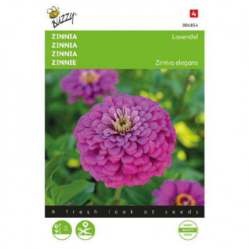 Seminte de Zinnia elegans, 0.25g/plic, Buzzy, Olanda