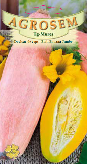 Seminte de dovleac de copt Pink Banana Jumbo 1.5 grame