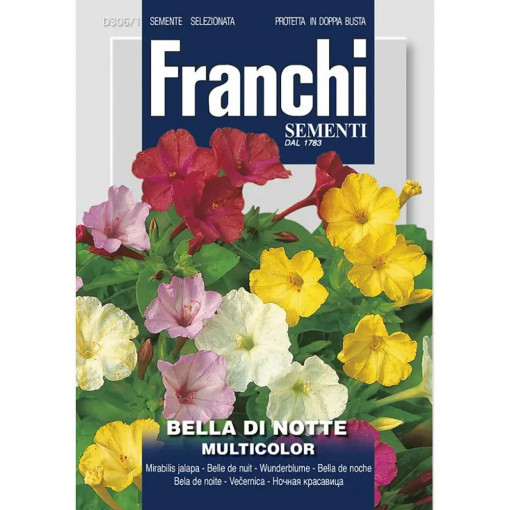 Seminte de Frumoasa Noptii multicolor, 5g, Franchi