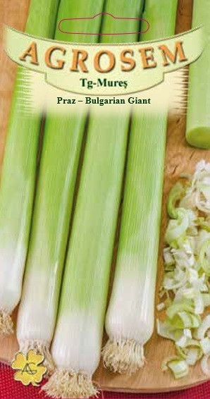 Seminte de praz Bulgarian Giant 2 grame